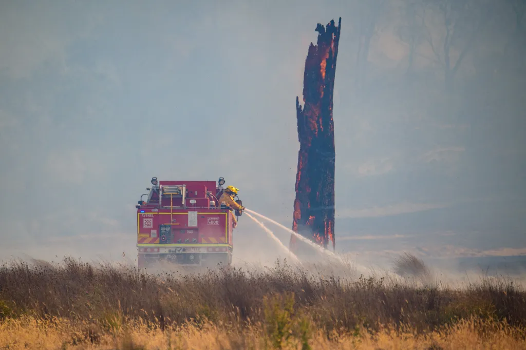 A fire crew hosing down a burning tree.