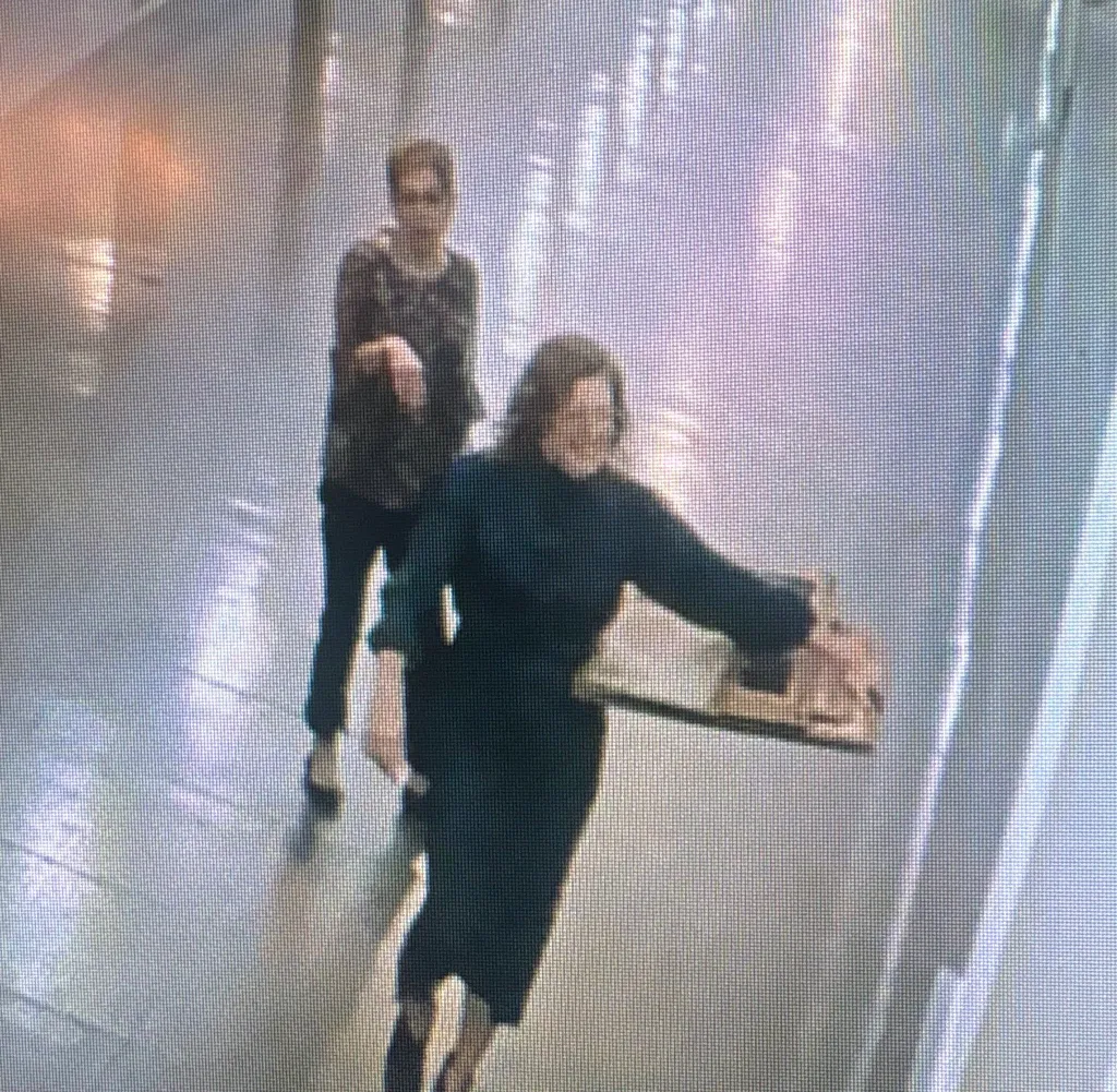 Democratic State Sen. Machaela Cavanaugh was shown on Capitol security footage taking down portraits from an exhibit celebrating the 250th anniversary of America’s founding.