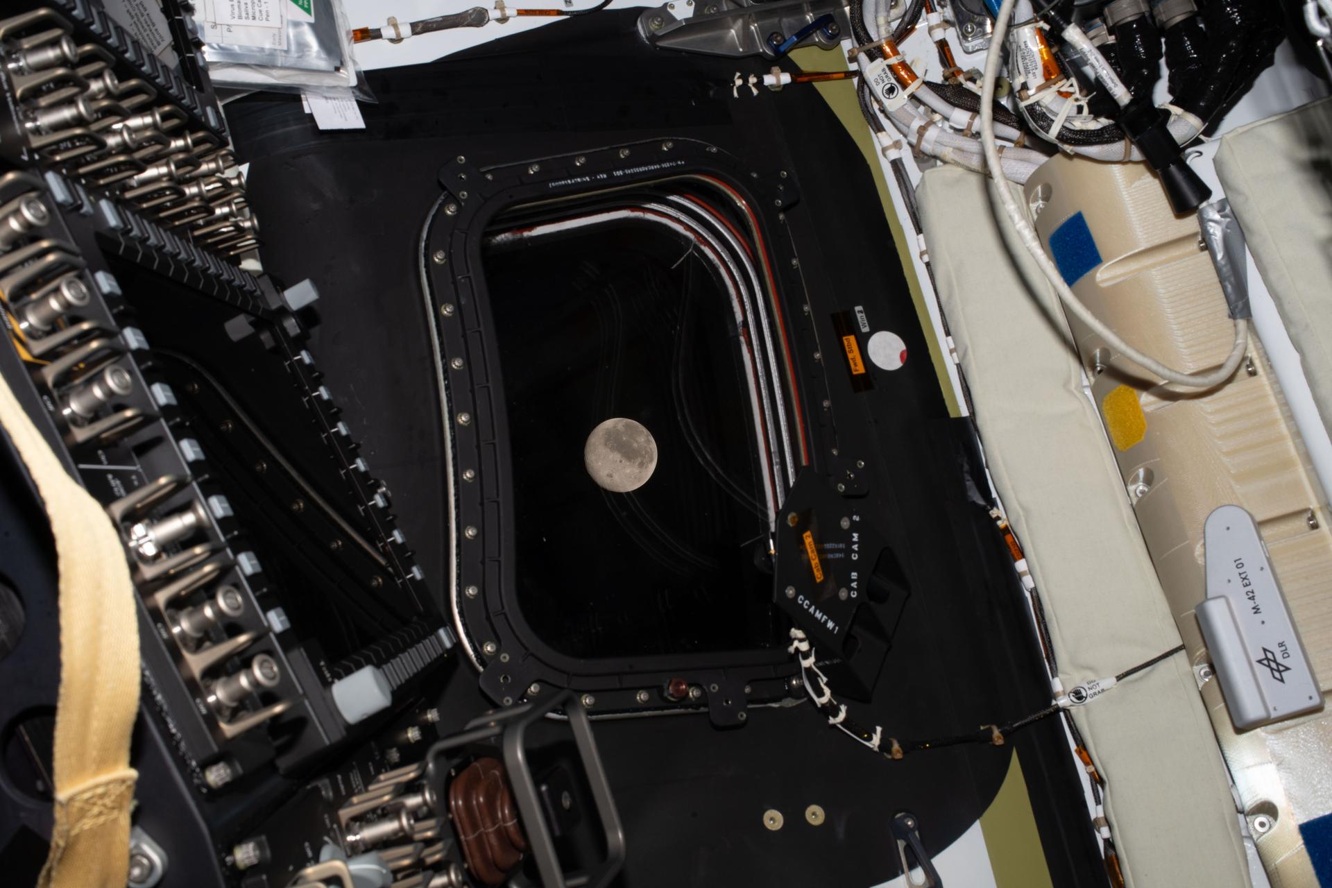 Watch Live: NASA’s Artemis II Crew Sets Distance Record With Lunar Flyby