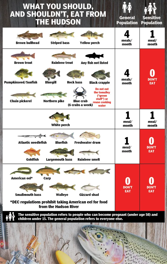 Illustration of a fish consumption advisory chart for the Hudson River, detailing safe eating guidelines for various fish species for both general and sensitive populations.