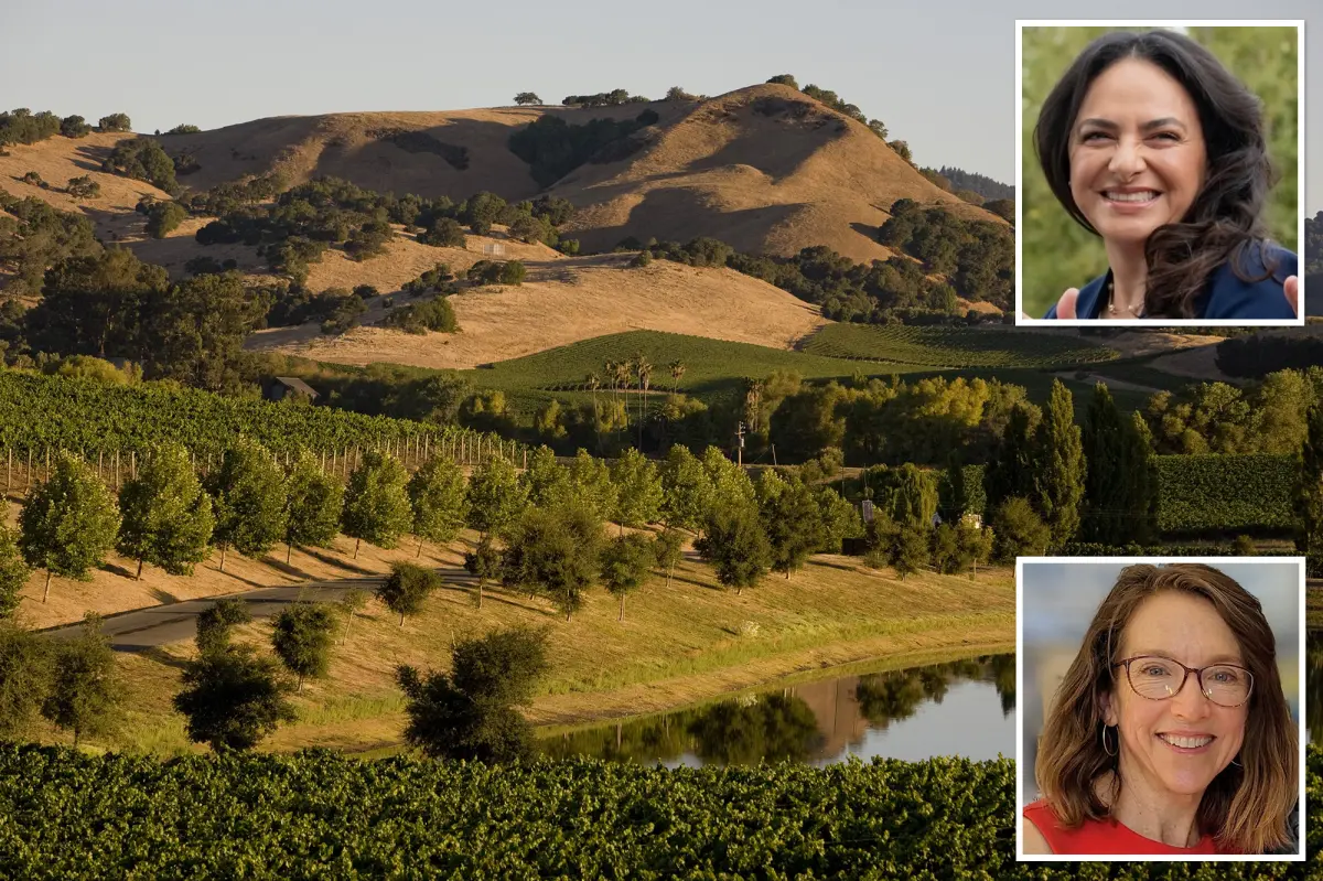 Napa Valley unveils $6.4M scheme to save decimated Wine Country — how everything will change explained