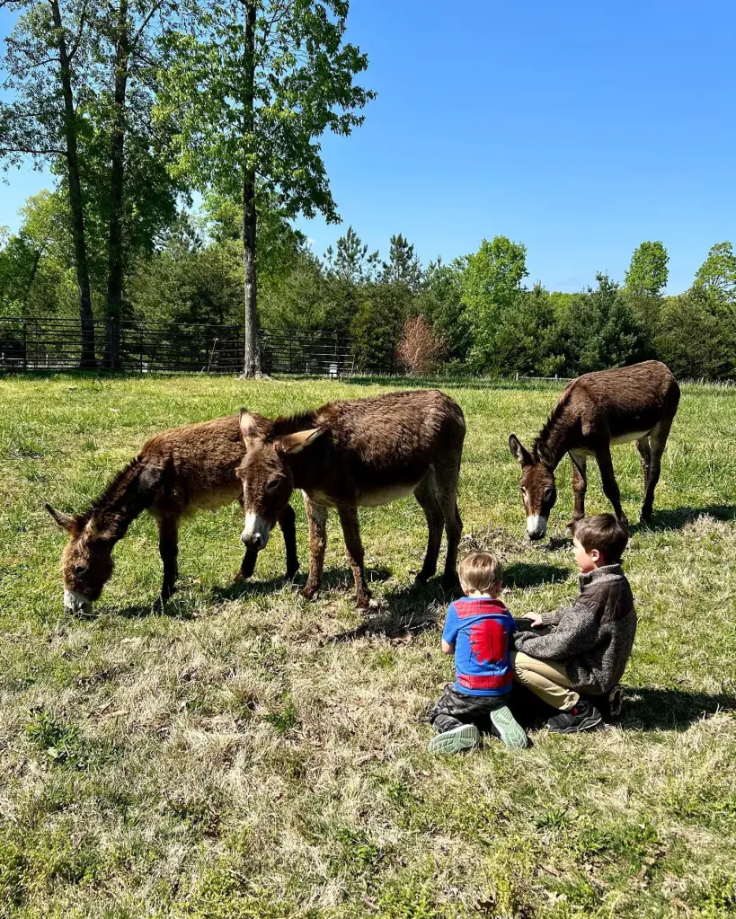 Two boys kneeling in a grassy field with three donkeys grazing nearby.