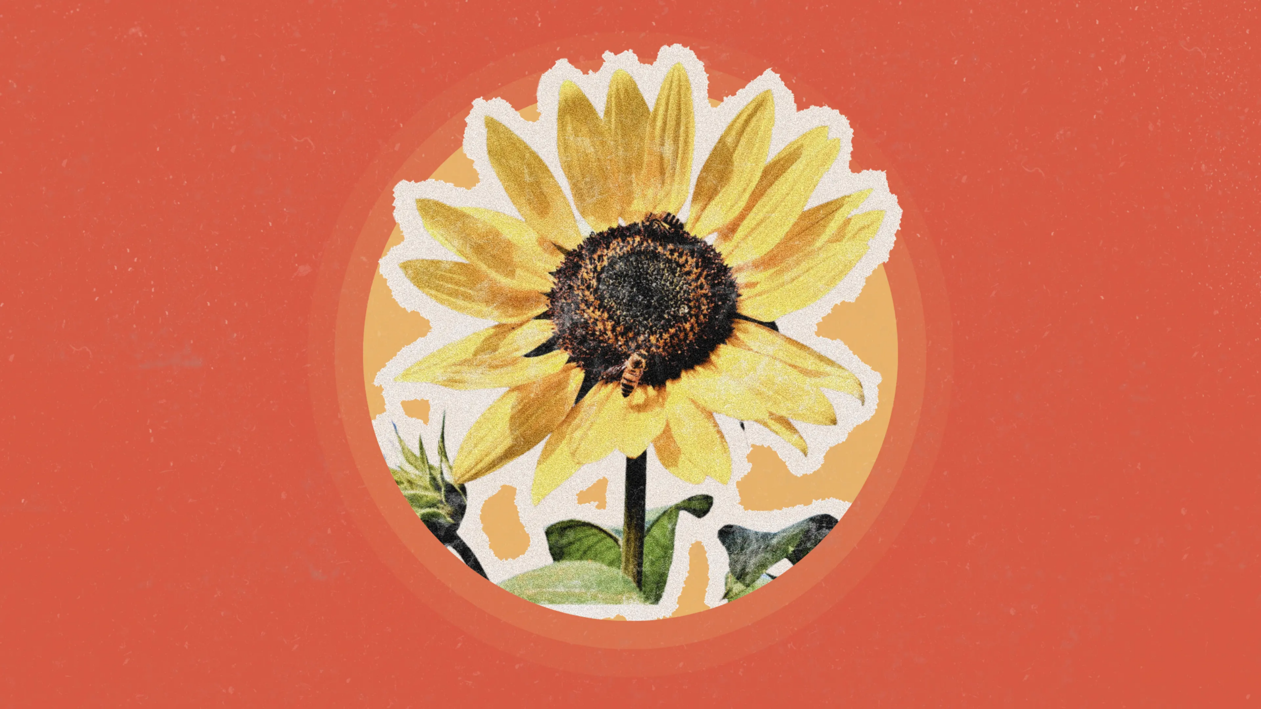 Why You Should Stop and Smell a Flower For Just 30 Seconds