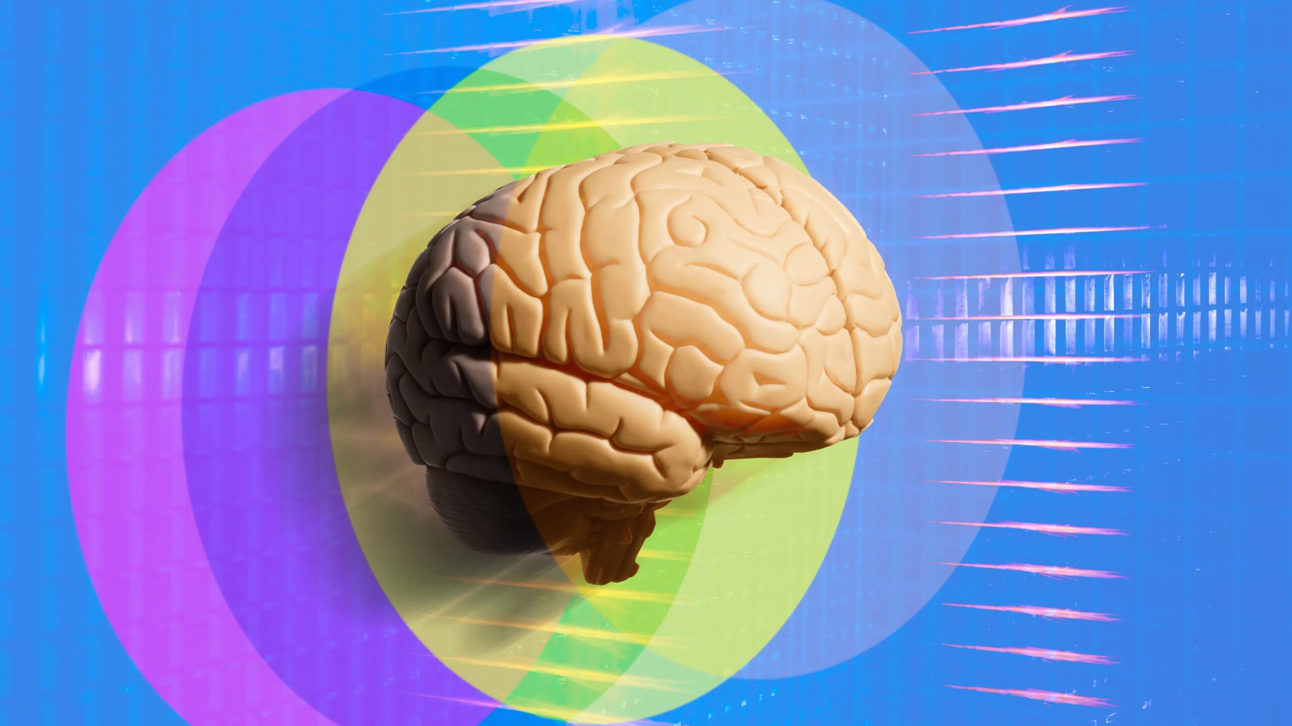 The Neuroscience of the Self