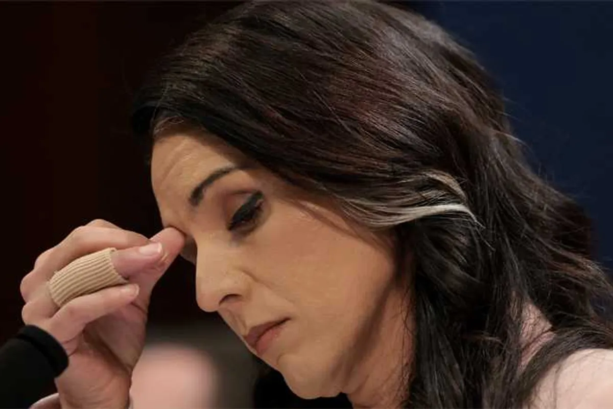 Tulsi Gabbard conspiracy theory will lead to ‘egg on the faces of everyone’: ex-prosecutor