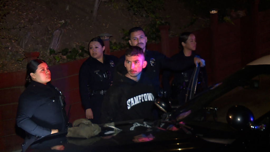 Dylan Sprouse is being apprehended by police after an attempted home invasion.