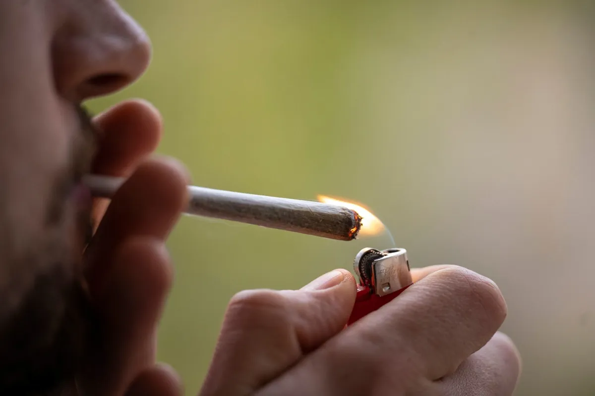 ‘Proven false’: Conservative Wall Street Journal slams Trump move to placate ‘pot lobby’