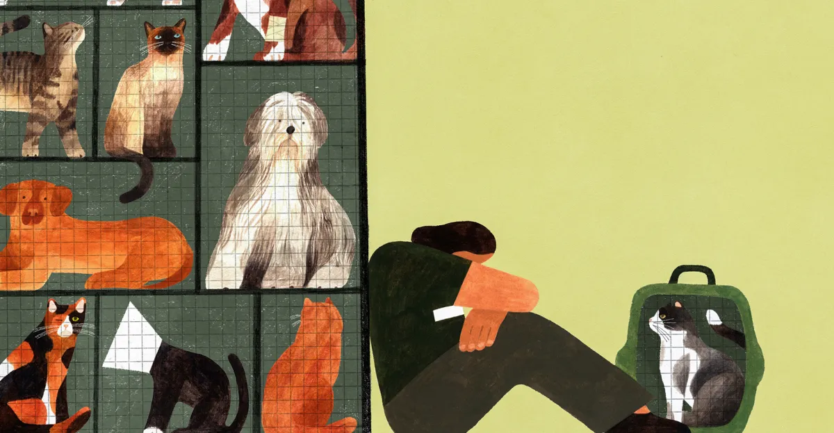 What haunts America’s animal shelter workers