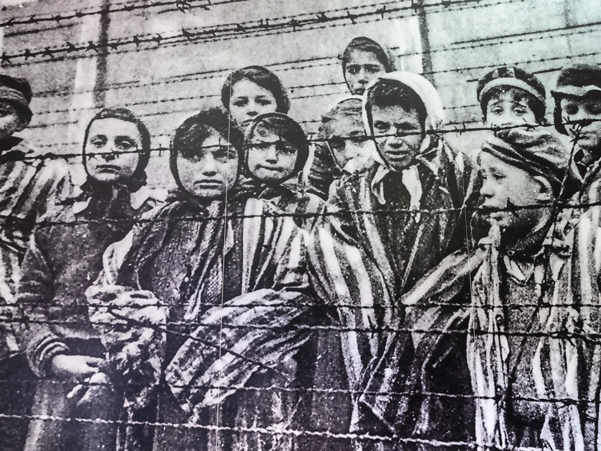 ‘I could barely speak’: Shock as GOP lawmaker nominates Nazi apologist for Holocaust board