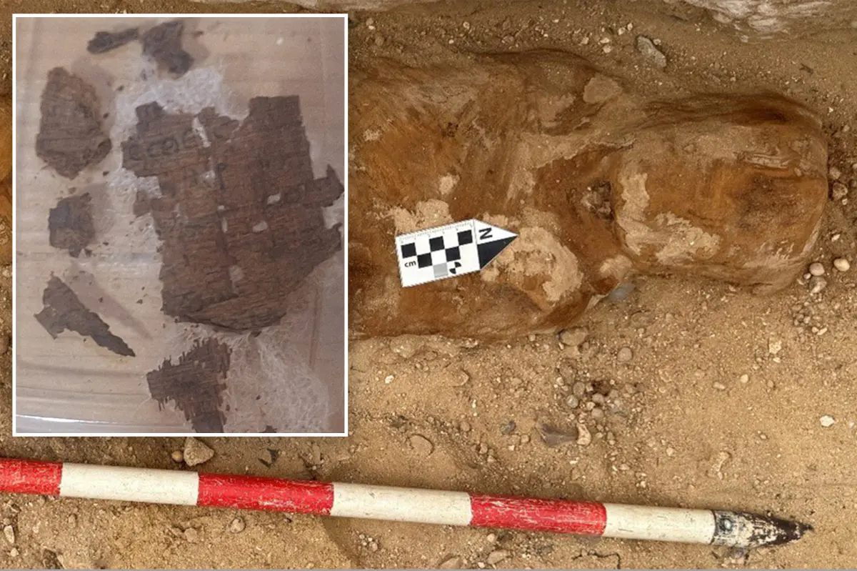 Archaeologists find piece of famous book in 1,600-year-old Egyptian mummy’s guts
