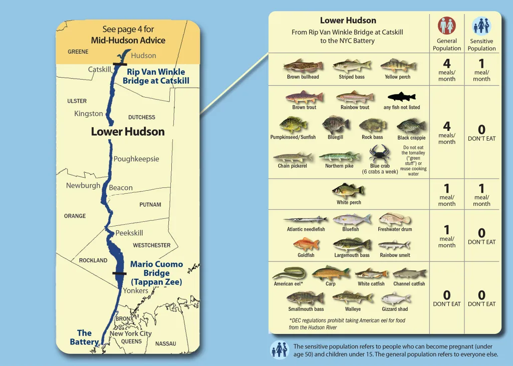 Illustration of a map of the Lower Hudson River with fish consumption advisories for different fish species.