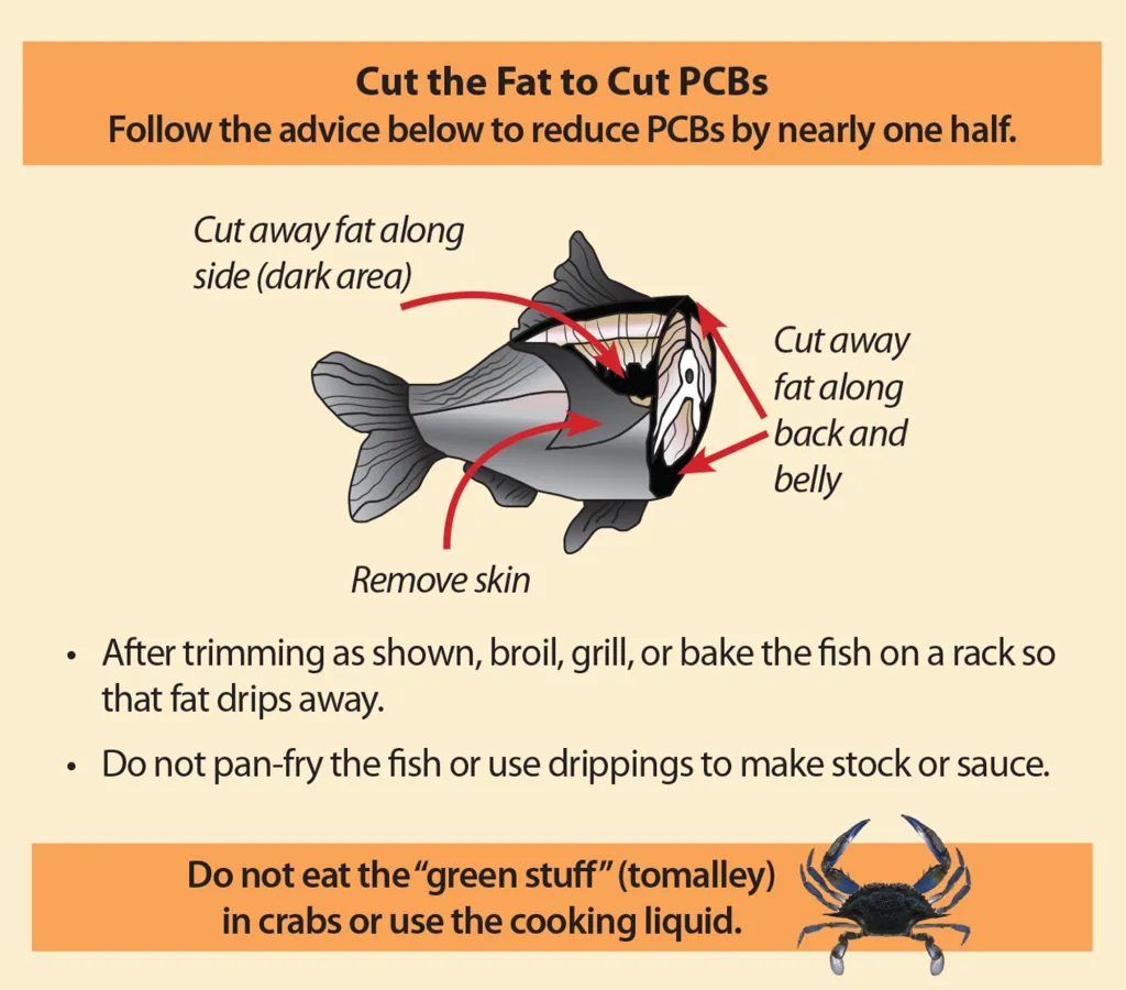 Illustration demonstrating how to trim fat from fish and advice on reducing PCB exposure.