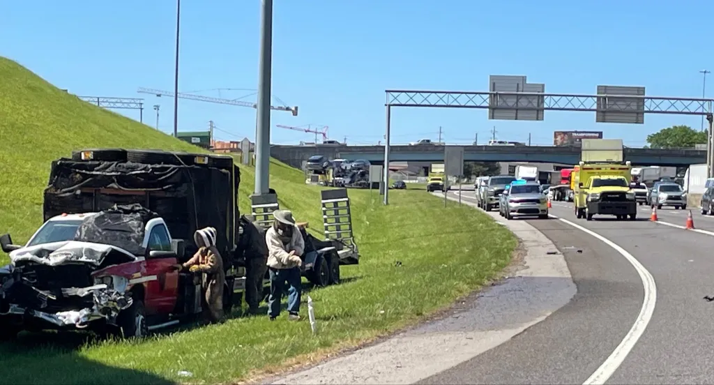 Beekeepers in protective suits worked alongside crews to regain control of the swarm, which had clustered around the wreckage and nearby roadway.