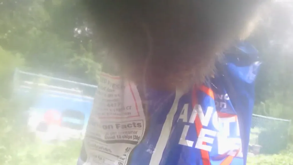 A furry animal reaching into a bag of chips.