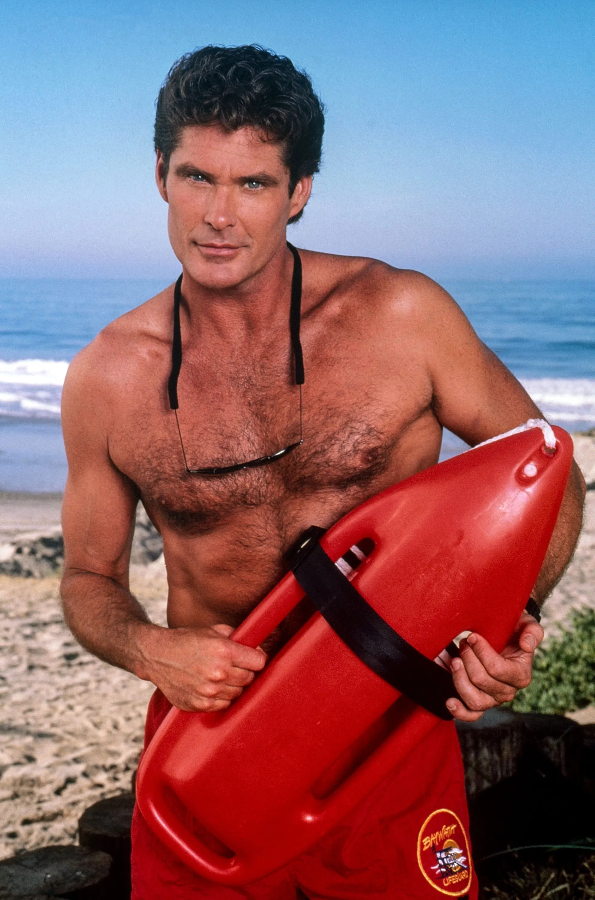 David Hasselhoff in 