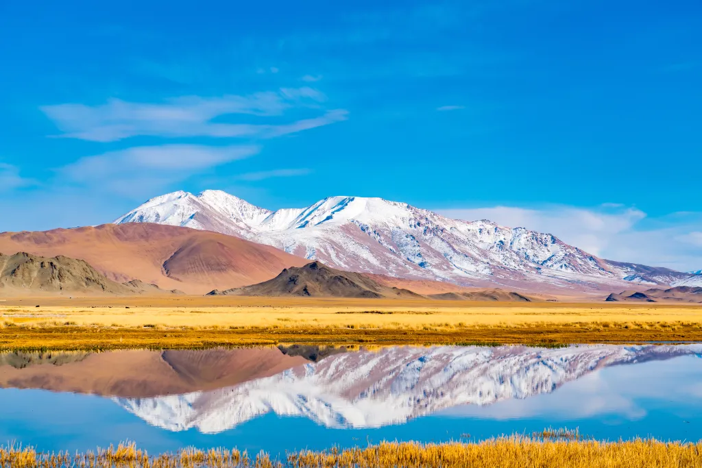 A vivid landscape of Ulgii, western Mongolia, with a clear river reflecting snow-capped mountains and red-brown hills, next to a field of yellow steppe under a bright blue sky.