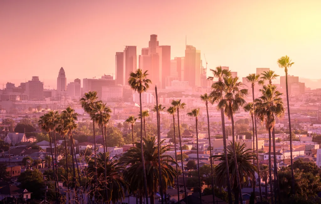 Los Angeles downtown skyline with palm trees in the foreground at sunset.