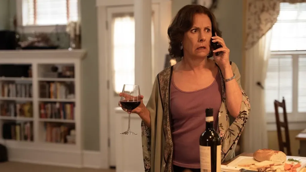 big-mistakes-laurie-metcalf-netflix