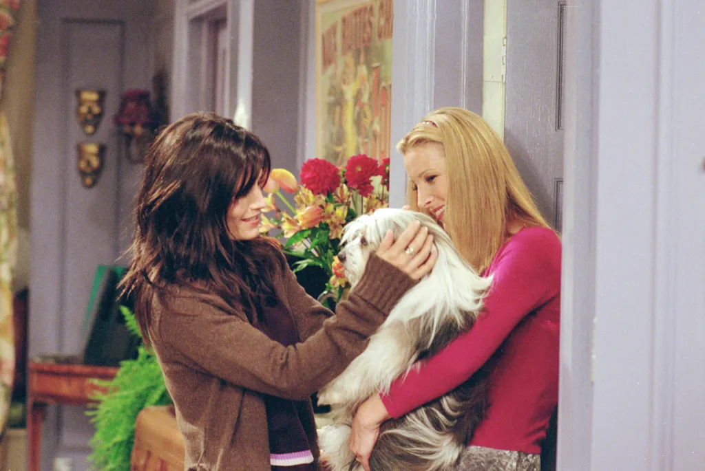 Monica and Phoebe petting a shaggy white dog from the TV series "Friends".