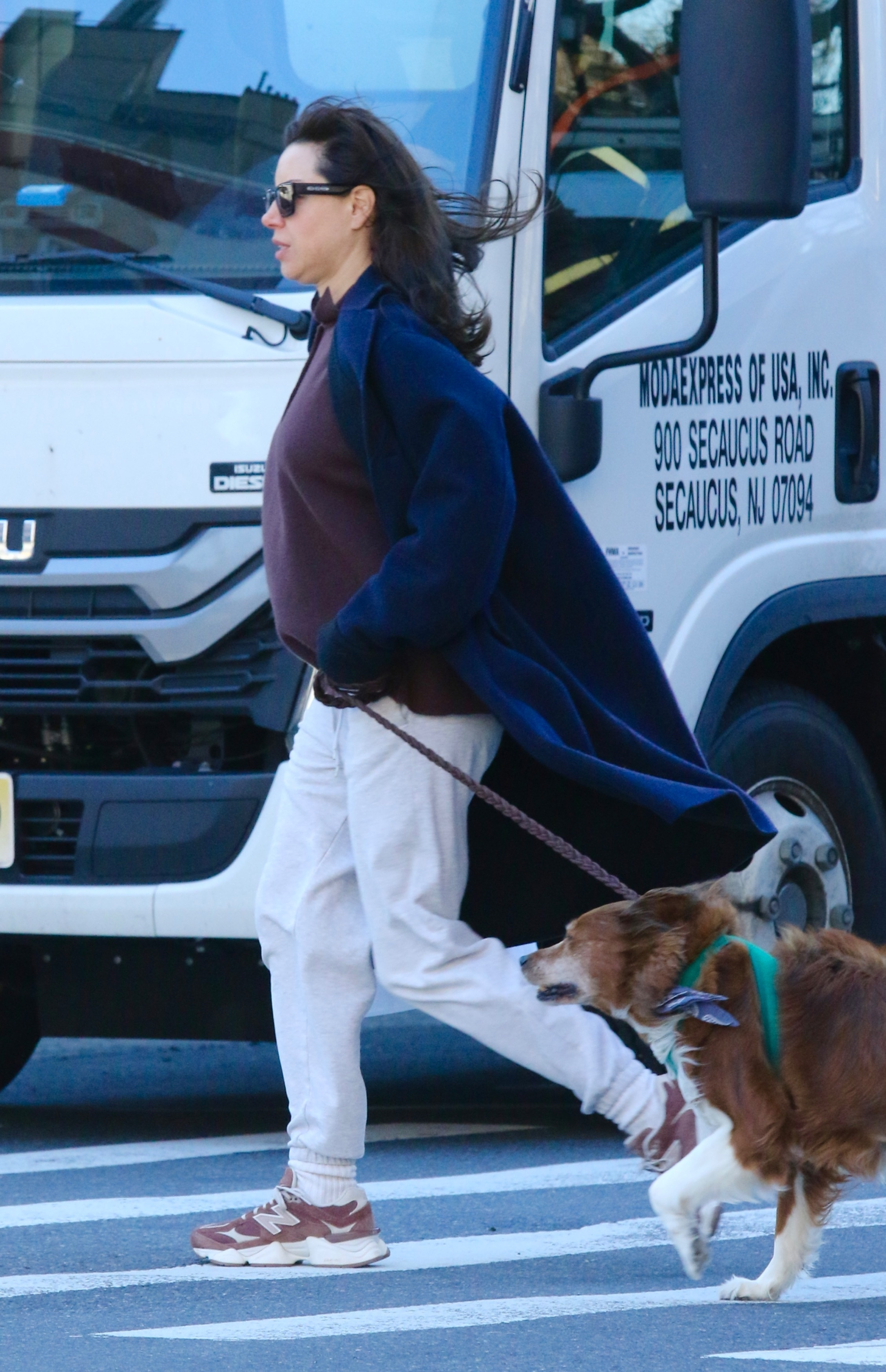 Aubrey Plaza, showing a baby bump, walking her dog in New York City.