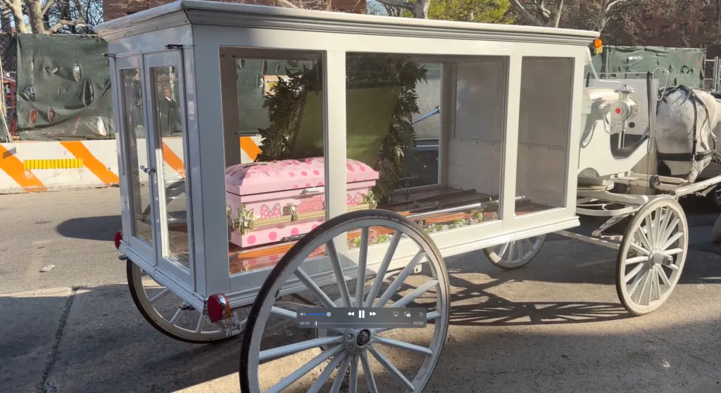 A white horse-drawn carriage containing a pink casket.
