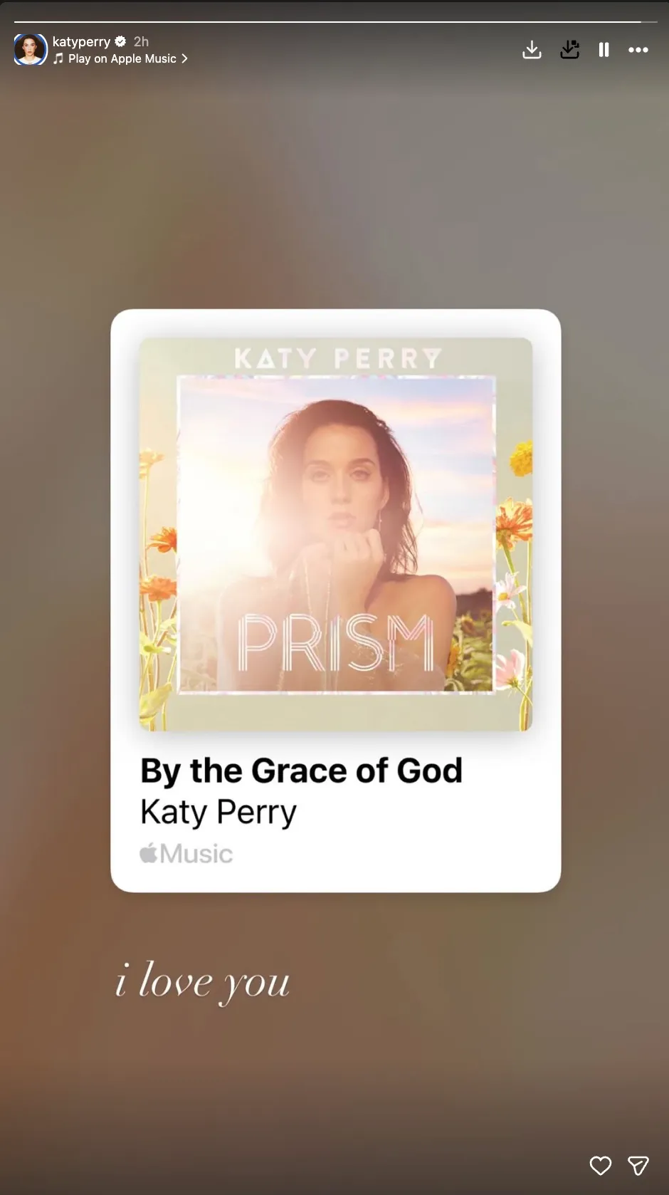 Katy Perry's Instagram story showing 