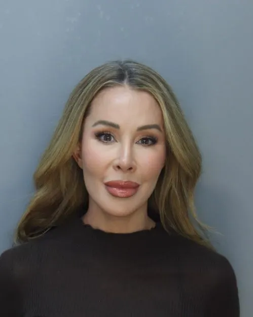 Lisa Hochstein posed for her mugshot on Wednesday (as seen above).