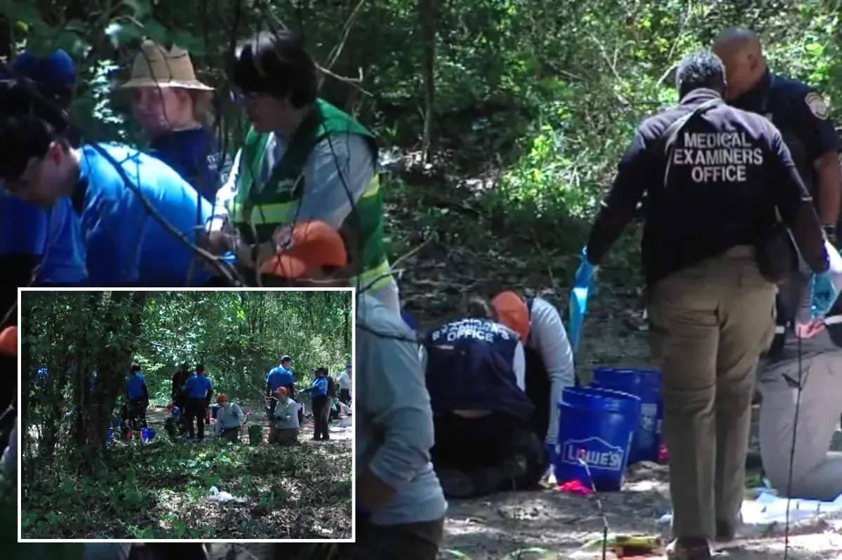 Human remains belonging to multiple children between ages 3 and 7 discovered in Memphis woods
