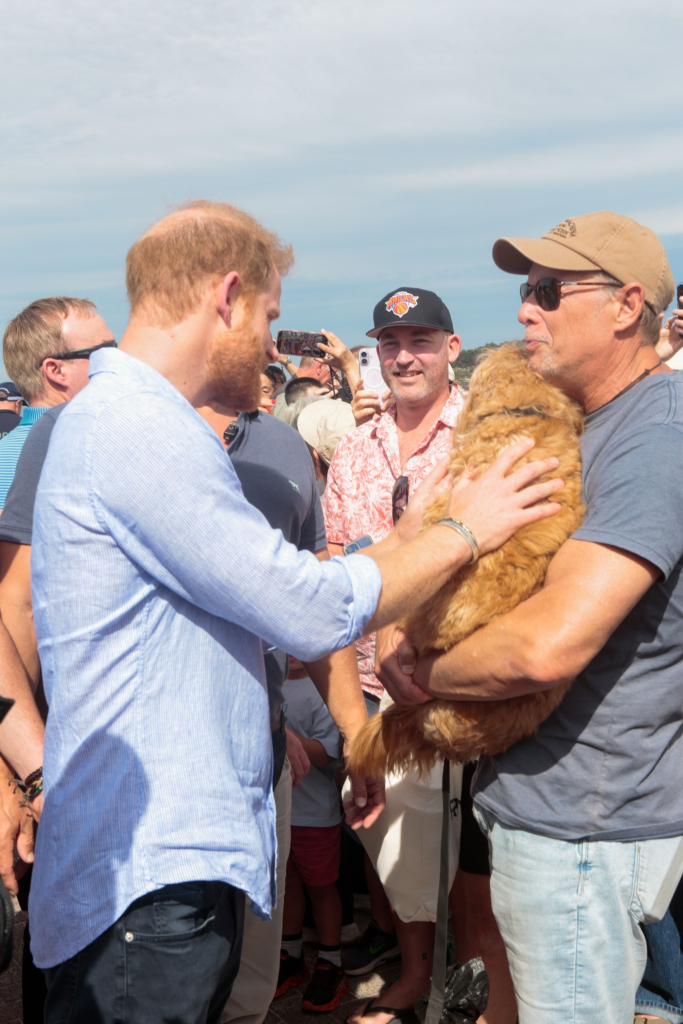 Prince Harry greeting an attendee holding a fluffy brown dog at Bondi Beach in Sydney.