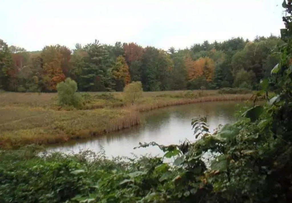 Their upstate home is set on 124 acres in Marbletown, Ulster County, which Weisz purchased for $2.1 million in 2008.