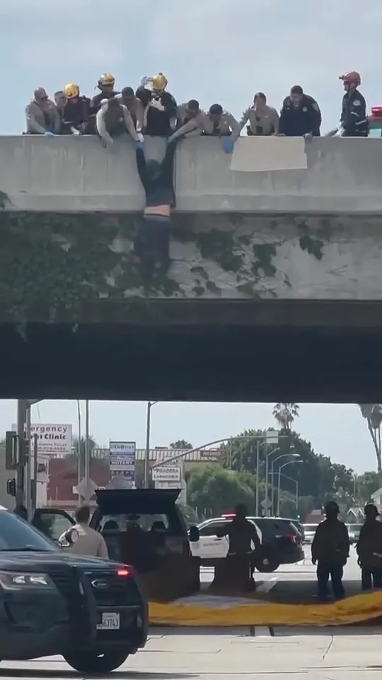 Several officers save a man attempting to jump off a freeway overpass.