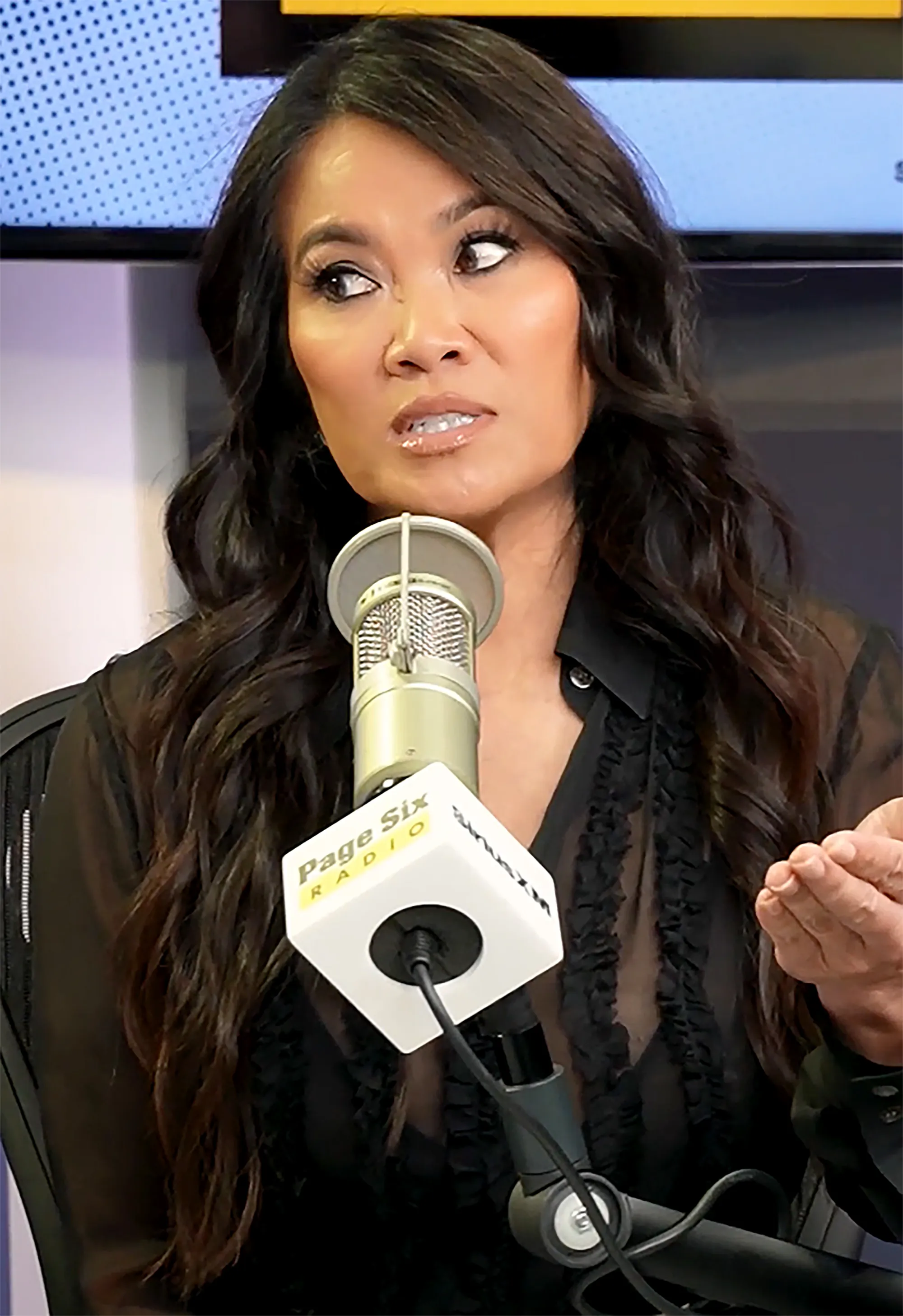Sandra Lee speaking into a "Page Six Radio" microphone.