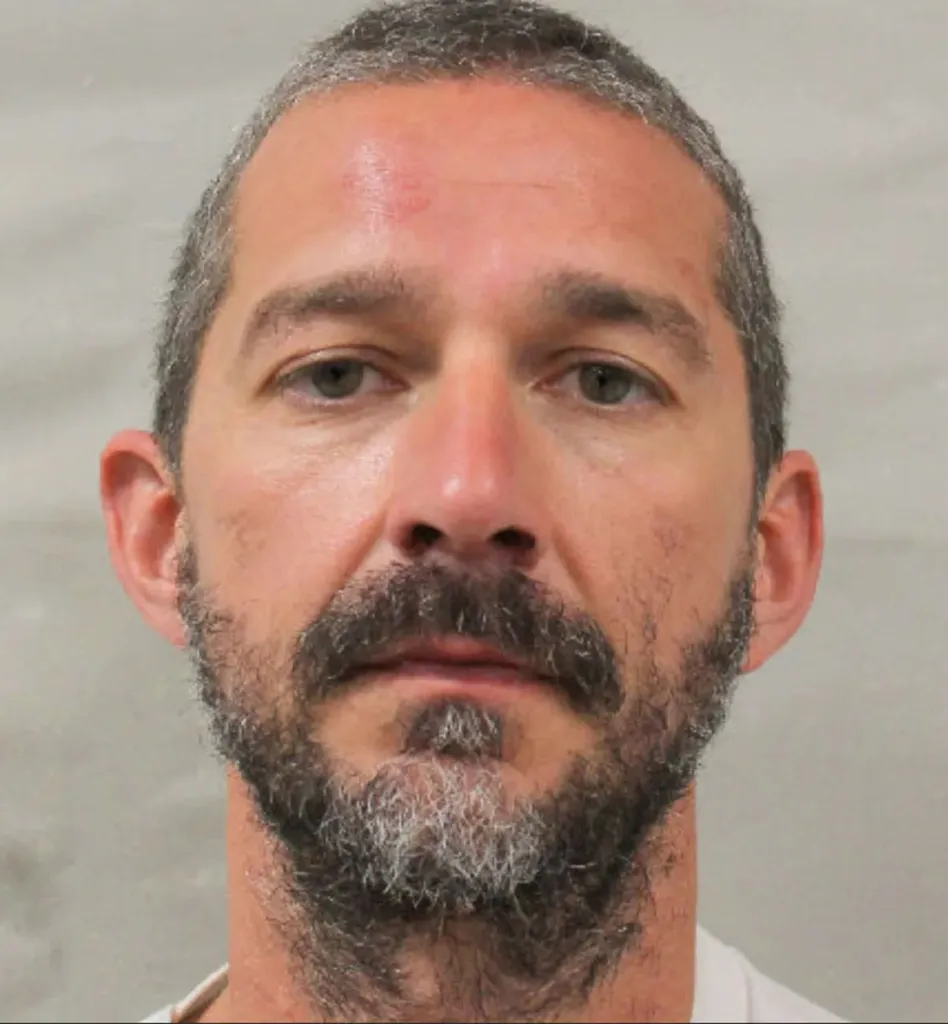 Mugshot of Shia LaBeouf from his arrest.