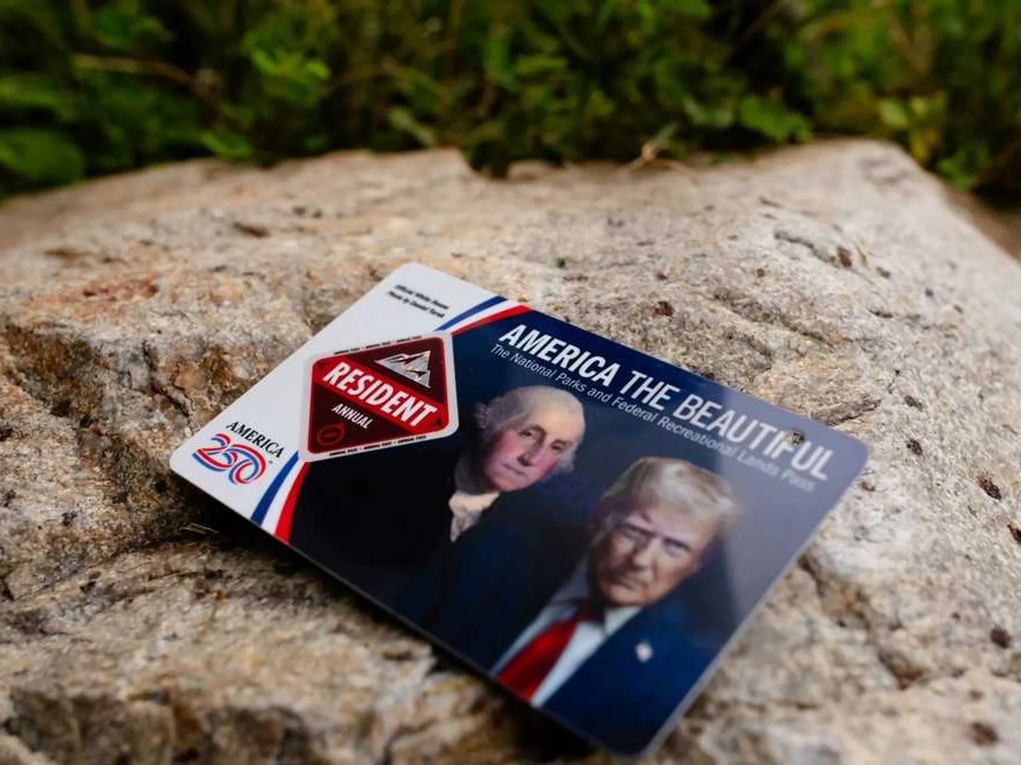 National Park rangers told to toss passes without Trump’s face in the trash: reporter