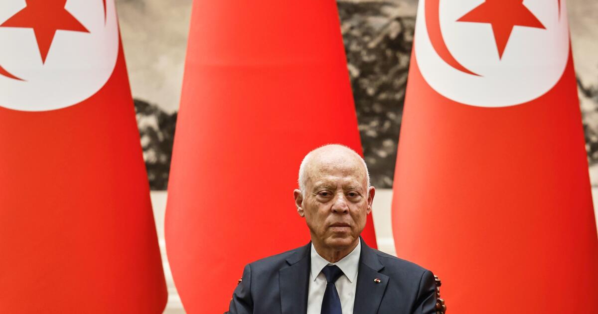 Tunisia suspends one of Africa’s oldest rights groups as crackdown widens