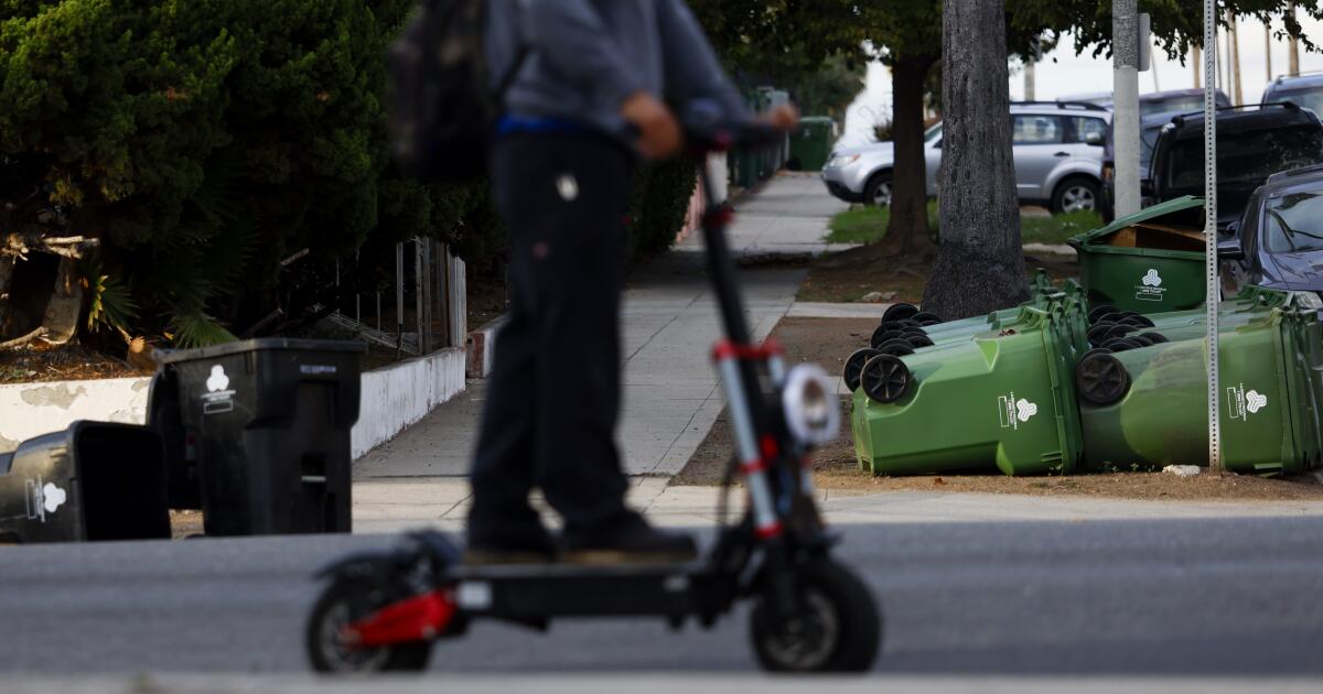 13-year-old killed in e-scooter crash had ‘a golden heart,’ family says