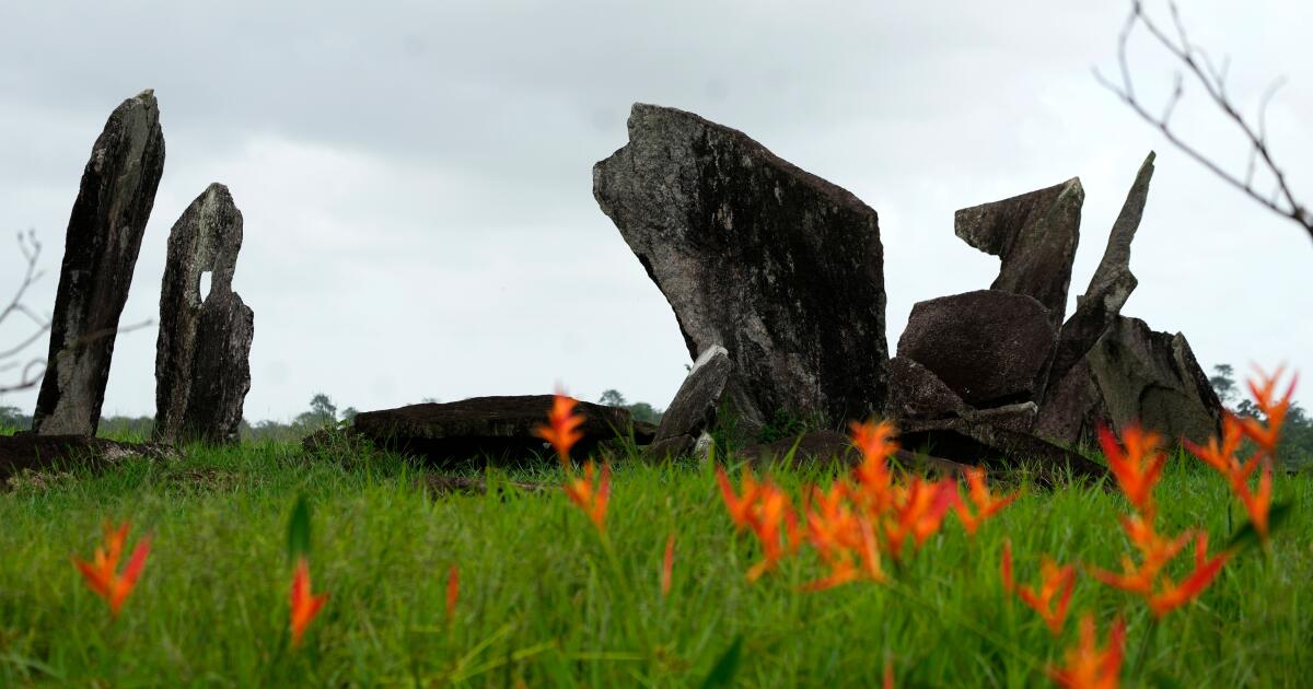 Archaeological digs in Amazon provide clues about Indigenous inhabitants before colonization