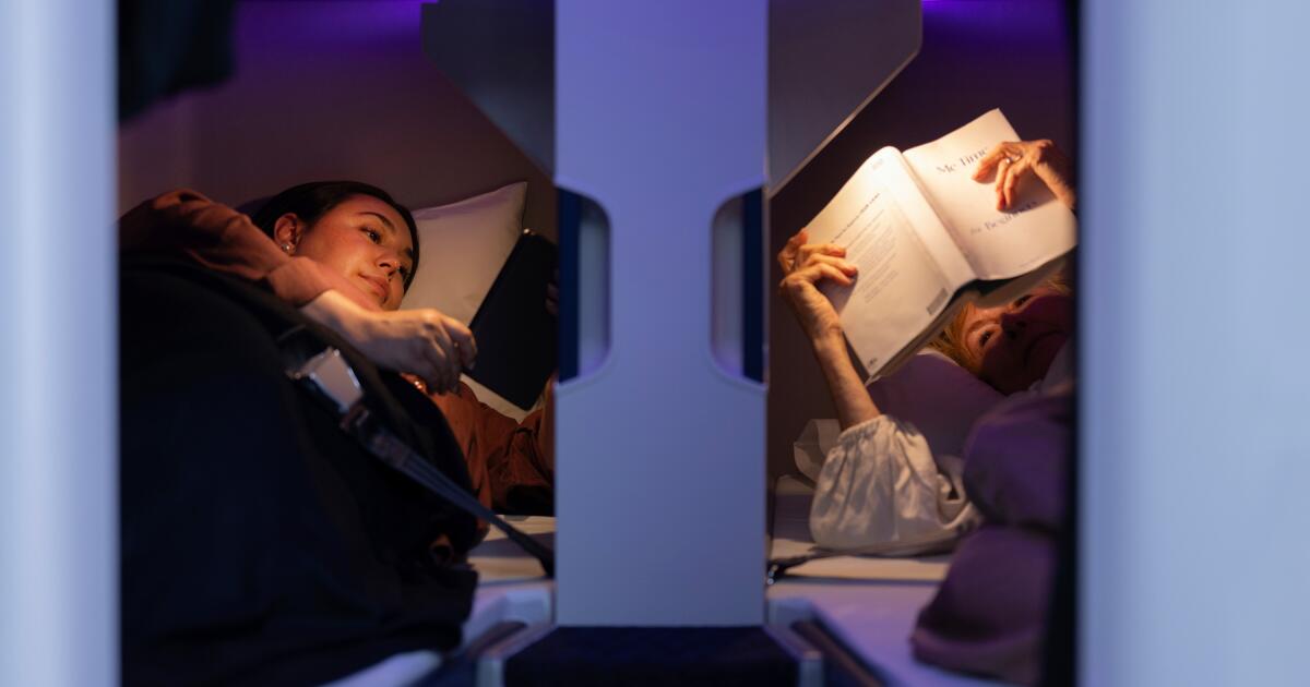 Airline offers bunk beds in economy, but no cuddling allowed
