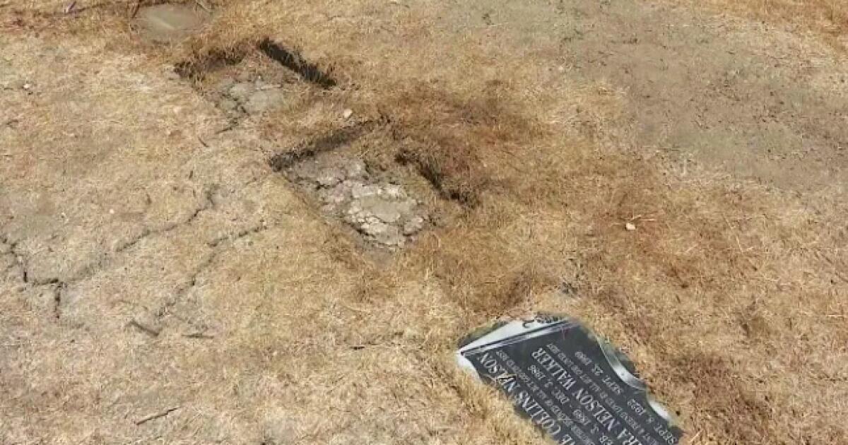 Two dogs stabbed, one killed while defending historic L.A. cemetery, says heartbroken owner