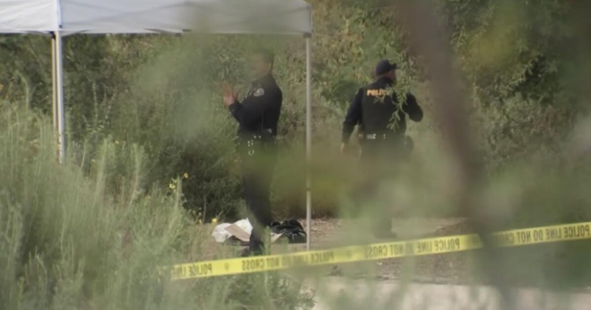 Easter egg hunters reportedly come across possible human skull in Long Beach