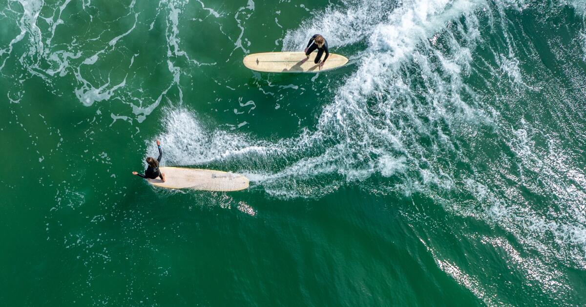 Aggressive 10-foot shark postpones world surf competition in Huntington Beach