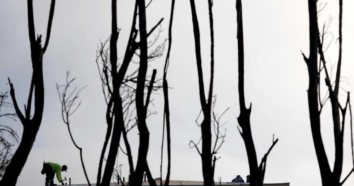 A truce appears in the ‘Hands Off Our Yards’ wildfire landscaping wars
