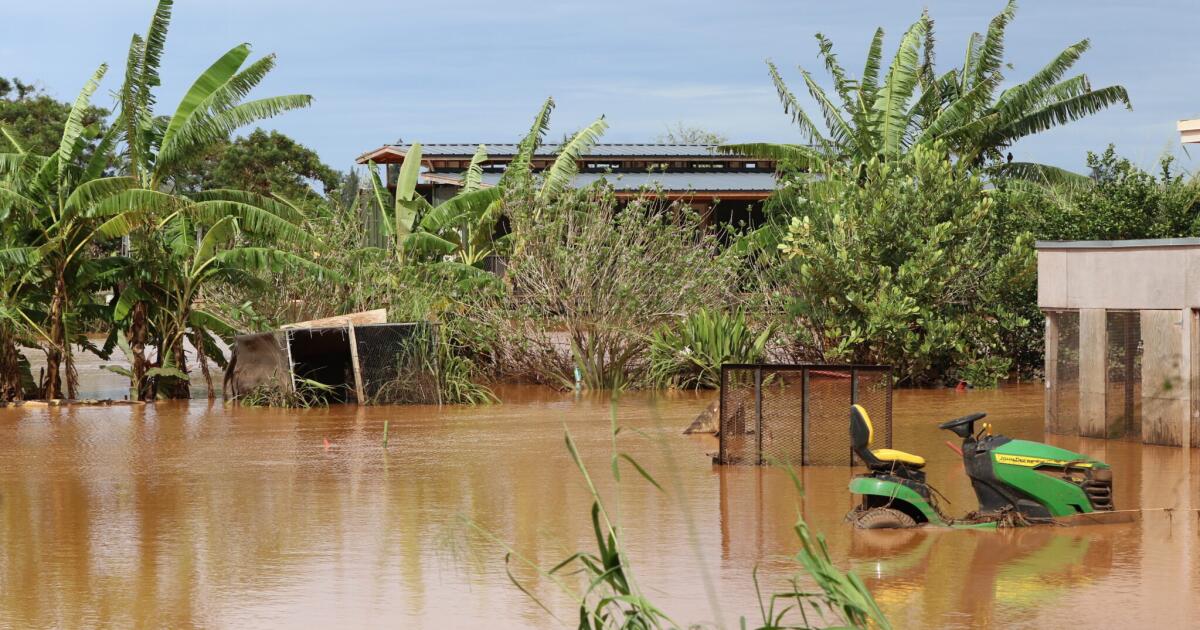Hawaii’s North Shore flooding likely diluted pesticide risk