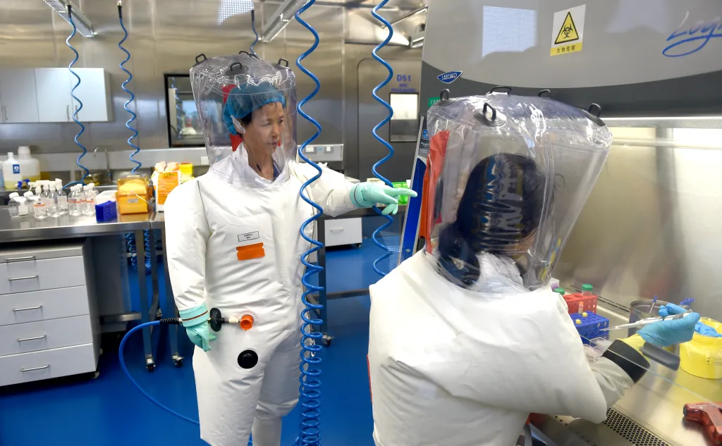 Virologist Shi Zheng-li working with a colleague in the P4 lab of Wuhan Institute of Virology.