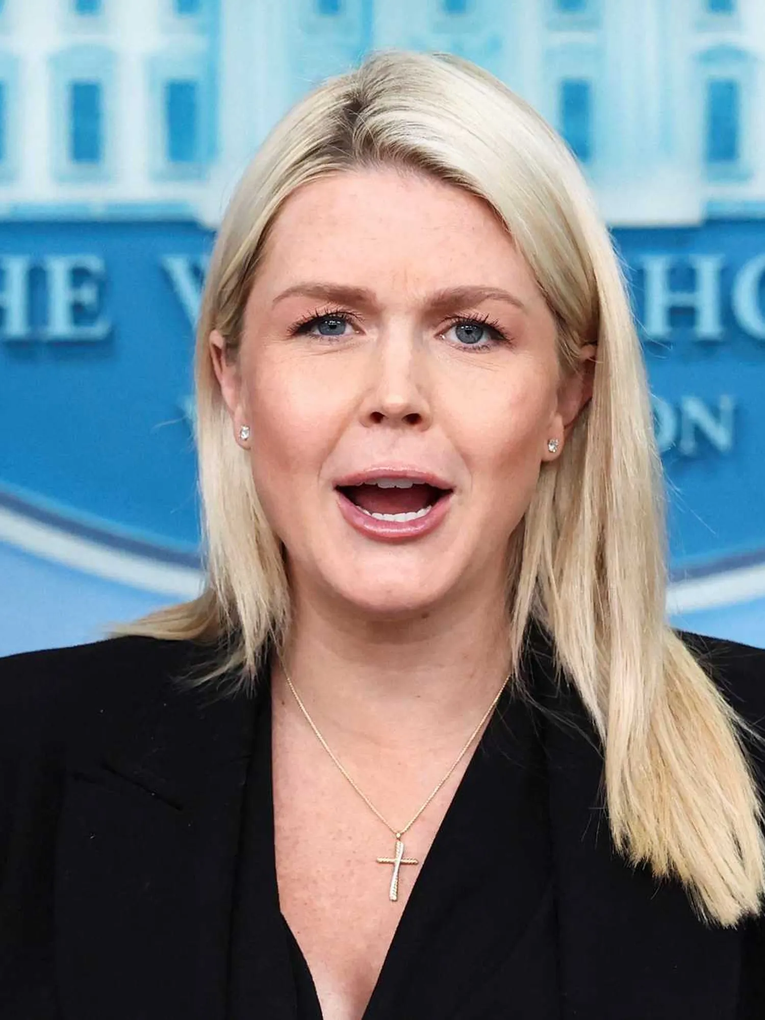 ‘They are going to come’: Karoline Leavitt’s ‘abundantly clear’ threat enrages analyst