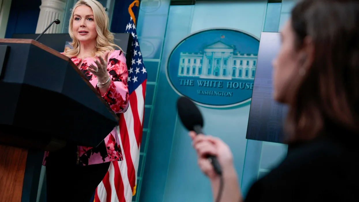Karoline Leavitt excoriated by analyst after ‘massive dump of lies’ trying to defend boss