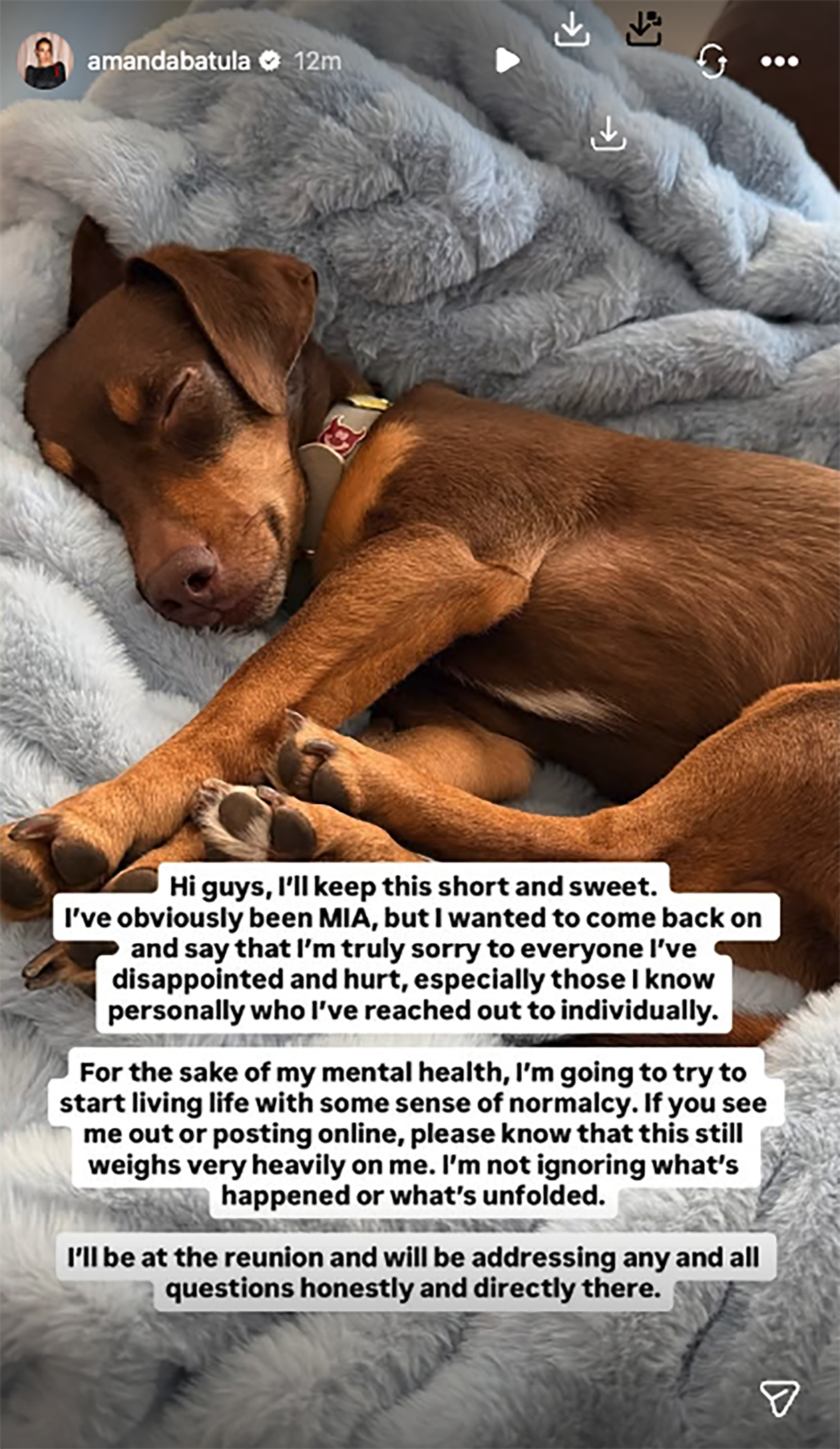 A brown dog sleeping on a grey blanket with a message from Amanda Batula explaining her absence and confirming her attendance at the reunion.
