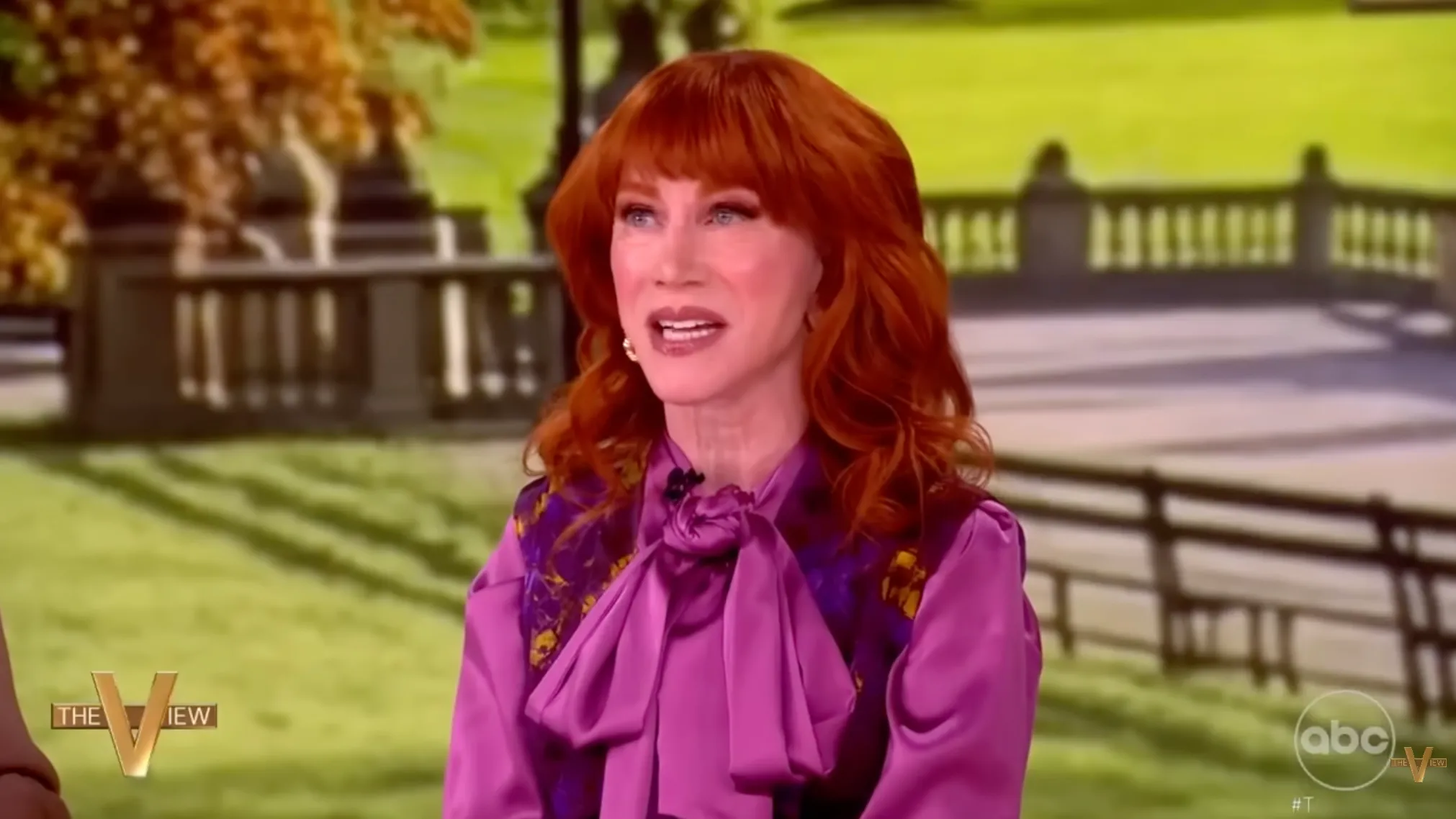 Kathy Griffin on "The View"