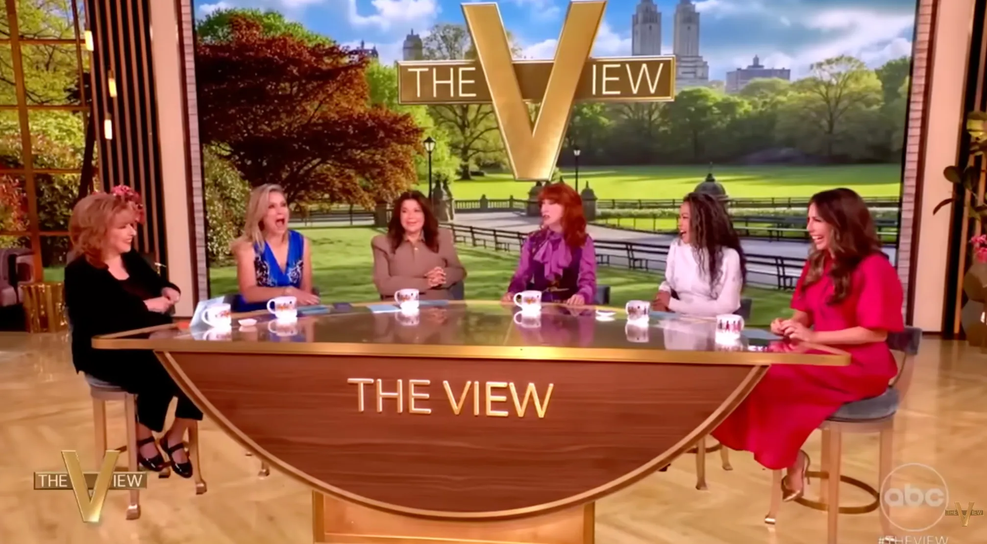 Kathy Griffin with the co-hosts of "The View