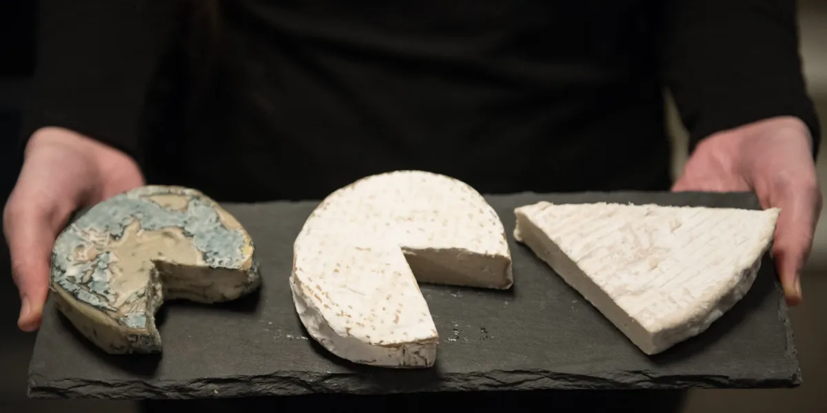 A Mark Cuban-backed vegan cheese company trained AI to scrutinize cardboard boxes. It’s saved $400,000